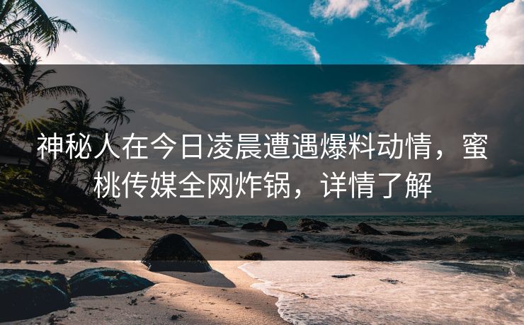 神秘人在今日凌晨遭遇爆料动情，蜜桃传媒全网炸锅，详情了解