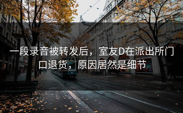 一段录音被转发后，室友D在派出所门口退货，原因居然是细节