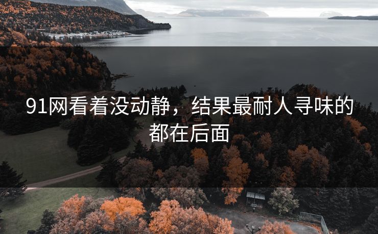 91网看着没动静，结果最耐人寻味的都在后面